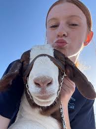 My kid decided to try market steer this year. Looking for advice