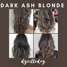 Opt for beige, nude blonde like this. Dark Ash Blonde Hair Dye Set Bleach And Color Shopee Philippines