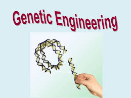 Genetic Engineering
