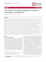 Going one step farther, an endemic can lead to an outbreak, and an outbreak can happen anywhere. Pdf One Health The Global Challenge Of Epidemic And Endemic Leishmaniasis