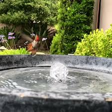 Bird In Bird Bath Video A Comprehensive Overview On Home Decoration In 2020 Beautiful Birds Nature Birds Pet Birds