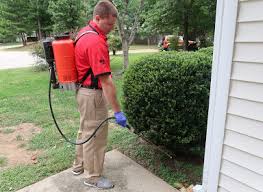 This video shows some of the excellent reviews and testimonials. 5 Best Pest Control Companies In Charlotte Top Pest Control Companies