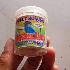 Selain itu, anda juga tidak membuang budget yang terlalu banyak. Pulut Burung Lem Burung Getah Burung Pikat Jebak Perangkap Lem Pulut Burung Lepas Lazada Indonesia