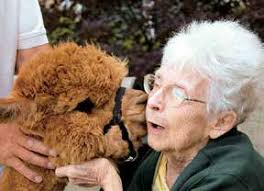 Embracing our Future