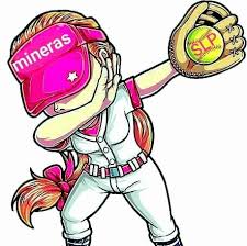 Habilidad para el manejo de la informática. Liga Promocional Minera De Softbol Femenil Home Facebook