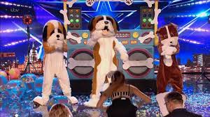 Britain S Got Talent 2019 Disco Dogs Surprise Full Audition S13e08 Youtube