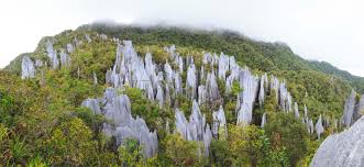 Named after the 2,377m mount mulu (gunung mulu), the park is famed for its. Mulu Nationalpark Infos Zu Hohlen Pinnacles Anreise Unterkunften Abenteuer Borneo De