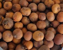Image result for Afrostyrax