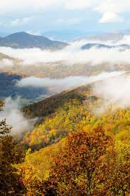 The cabin is loaded with amenities that will enable you to maximize your vacation experience. 20 Cozy Cabins In Asheville Nc Chef Tariq Travel Blog