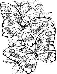 Butterfly coloring pages for kids are images of the most beautiful, the brightest and the most known insects. Butterfly Coloring Pages For Adults Drawinginsider