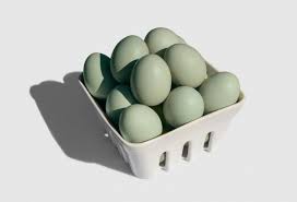 We did not find results for: Premium Photo Araucana Egg Isolated On White Background Blue Or Green Eggs From Araucana Chicken