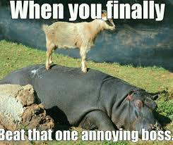 Wth Did That Goat Do Tho Meme By Imemegud Memedroid