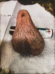 金玉カバン 庄司二号 官能の世界の 頂点 金玉の魅力