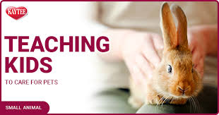 Crafts help kids show their creative side. Small Animals