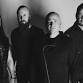 Disturbed