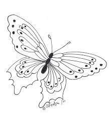 butterfly dessin papillon coloriage a colorier cheval sautant avec cavalier