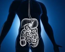 Improved digestion
