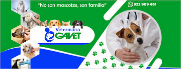 Clínica Veterinaria Gavet - San pedro Carabayllo