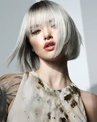 Silver Hairstyle Photos