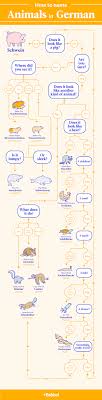 When names first came about in german history, people tended to only have one name. The German Animal Names Flowchart