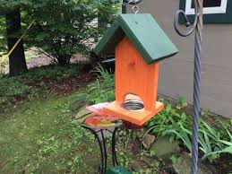 We have been feeding grape jelly to orioles and other birds for a number of years now. 14 Best Oriole Feeder Tips A Simple Hummingbird Nectar Recipe