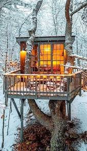 Simple Birds Eye View Of A House Oh Yes A Quiet Place To Get Away To While Having A Bird S Eye View Of My Par Birds In 2020 Beautiful Tree Houses Cool Tree Houses Tree House