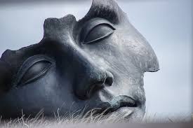 Image result for Good Times, Raining Frogs, Golden Showers, Golden Cattle, Where Is The Beef, Whales On Land, Pigs And Hogs, Faces In The Crowds.