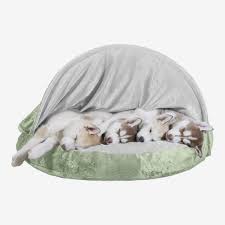 The actual bed can be washed too and, unusually. Dq4kq4gslvr2cm