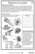 Some of the worksheets for this concept are functions of animal adaptations, haleakal national park what is my adaptation. 3rd Grade Science Worksheets About Animals Parenting