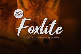Archive of freely downloadable fonts. Foxlite Script Font Dafont Com
