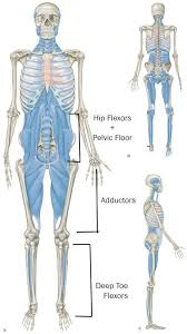 Pin On Such A Pain In The Back