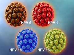 HPV