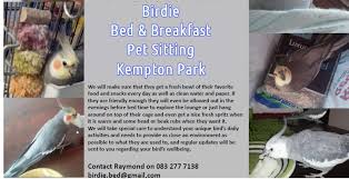 Go ahead and get connecting with all of the bird boarding services that are posted near you. Birdie Bed And Breakfast Pet Health Carebirdie Bed And Breakfast Pet Sitting Kempton Park Johannesburg Gauteng