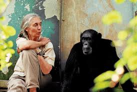 SHE SPOKE FOR THE ANIMALS British primatologist Jane Goodall, who transformed the study of chimpanzees and became one of the world's most revered wildlife advocates, has died at the age of 91.