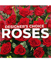 On august 27, 2021, quisitive technology solutions, inc. Roses From Cole Gardens Your Local Concord Nh Florist F
