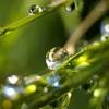 Drip wallpapers, backgrounds, images— best drip desktop wallpaper sort wallpapers by: Https Encrypted Tbn0 Gstatic Com Images Q Tbn And9gcqrskciubwtvub3axyhmlwduxkrzozkcoirepmmssegcsbw7zbb Usqp Cau