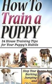 Dog Behavior Panosundaki Pin