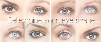 determine your eye shape and the best