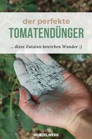 Tomaten Richtig Dungen Wann Wie Mit Welchen Dunger Wurzelwerk In 2020 Tomaten Garten Garten Anpflanzen Garten Bepflanzen