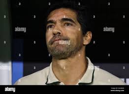 Palmeiras coach hi-res stock photography and images