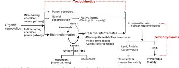 pdf the simplest flowchart stating the mechanisms for