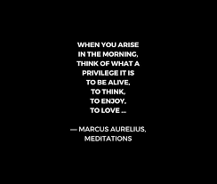Stoic Wisdom Quotes Marcus Aurelius Meditations What A Privilege It Is To Be Alive Tapestry By Ideasforartists Stoicism Quotes Stoic Quotes Wisdom Quotes