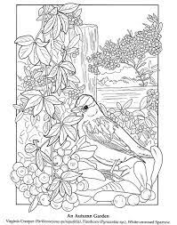 N'attends plus, imprime cette illustration gratuitement et joue à la colorier pour la rendre très belle. Coloring Pictures Coloring Books Bird Coloring Pages Animal Coloring Pages