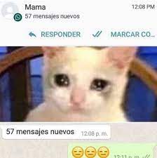 57 Mensajes Meme By Blue62442 Memedroid