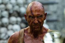 It needs a little editing for the last two but here is everything that I  watched in 2024.