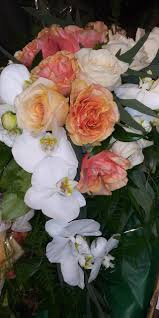 Check spelling or type a new query. Broadway Albertsons Floral Department Home Facebook