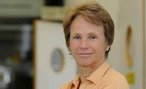 Warum unser Leben von Männern für Männer gemacht ist