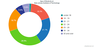 New Jersey Institute Of Technology Diversity Racial