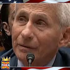 @JeckovKanani's video Tweet