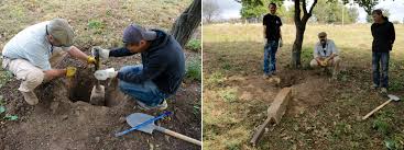 We did not find results for: Tools For Trimming Clearing And Maintaining Vegetation A Guide To Jewish Cemetery Preservation In Western Ukraine